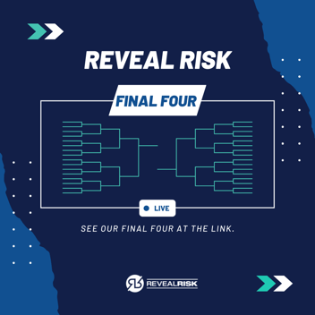 Blog - The Big Reveal: Key Cybersecurity Insights